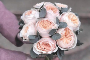 Букети нареченої: типи, фігури, що використовуються квіти Букети нареченої: типи, фігури, що використовуються квіти